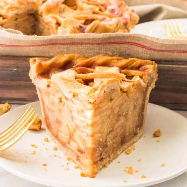 A slice of apple cinnamon pie with lattice crust