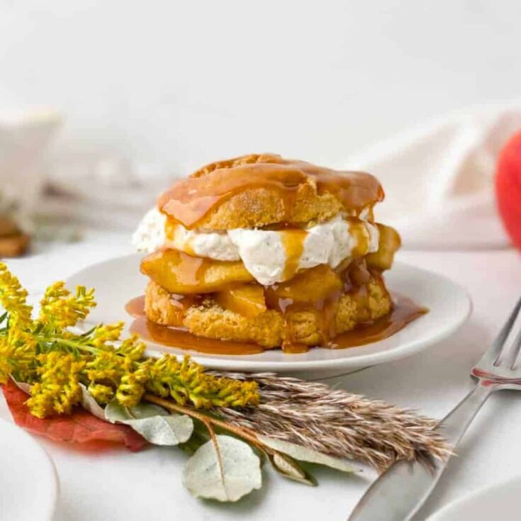 Apple shortcake dessert