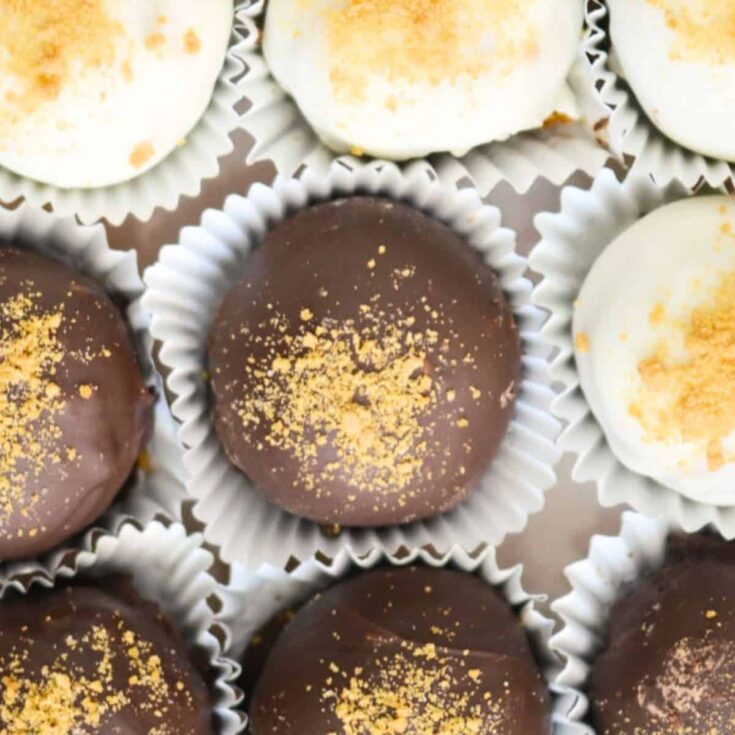 Chocolate gingerbread truffles