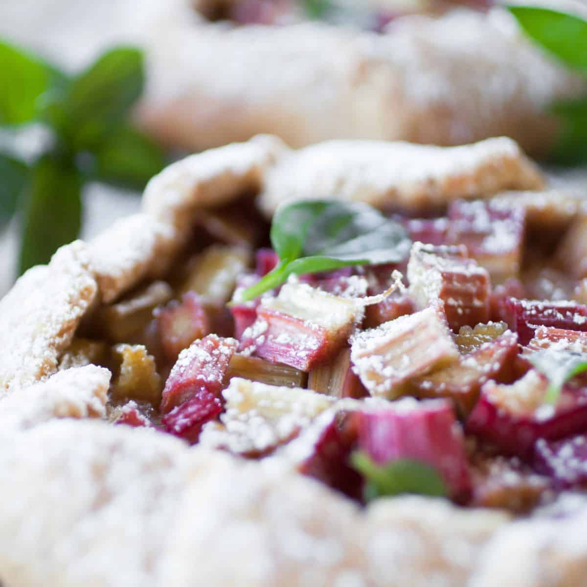 Homemade rhubarb galette made after reading these rhubarb recipes