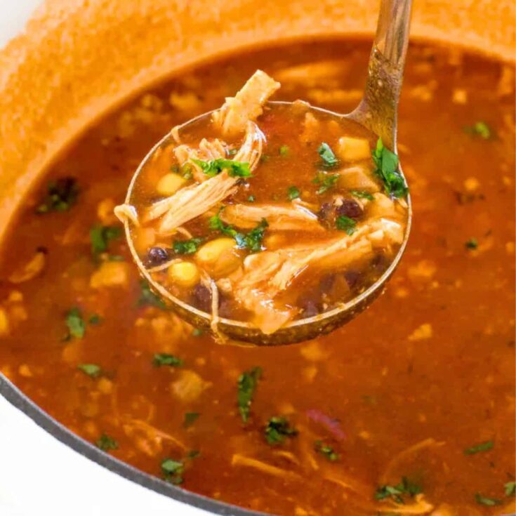 Chicken tortilla winter soup