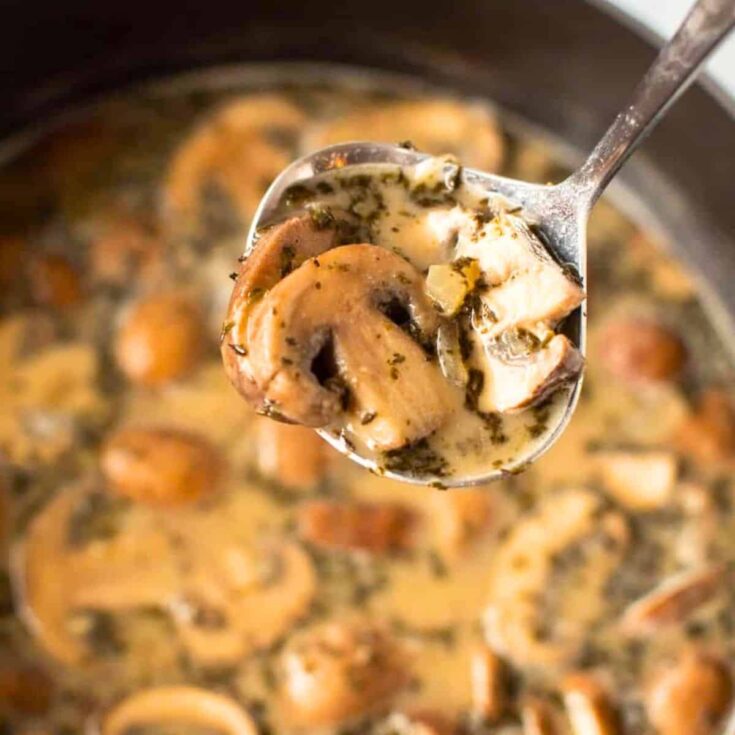 Creamy healthy mushroom winter soup