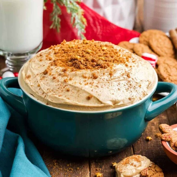 A bowl of Gingerbread cheesecake dip
