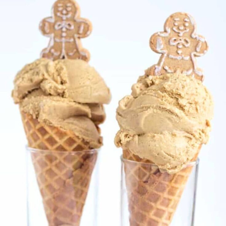 Two Gingerbread ice cream