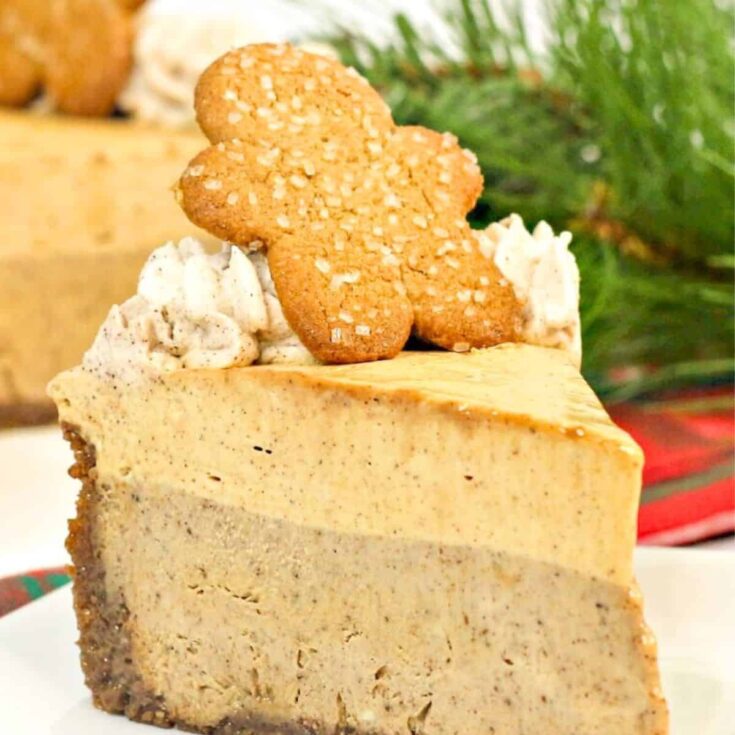 A slice of Gingerbread mousse cheesecake