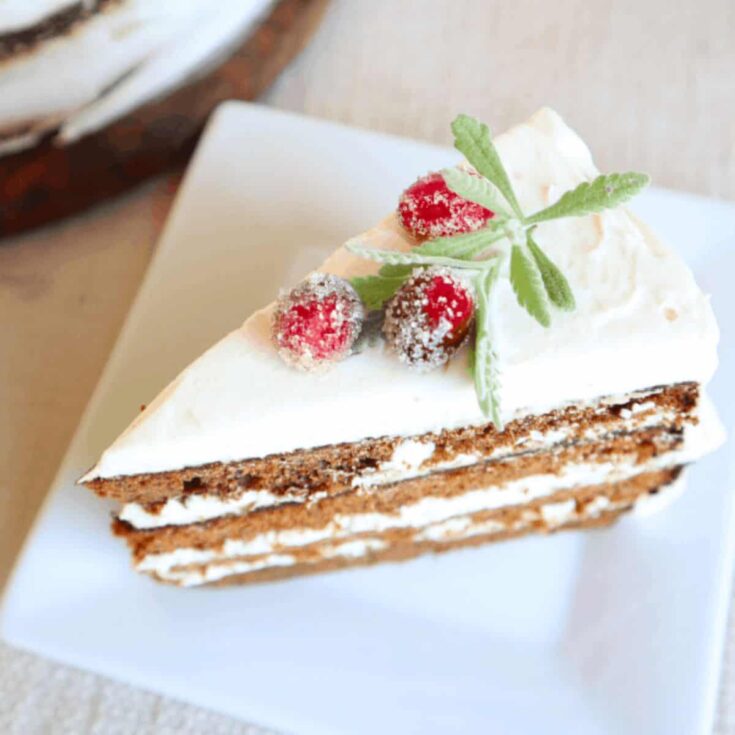 A slice of Gingerbread spice cake