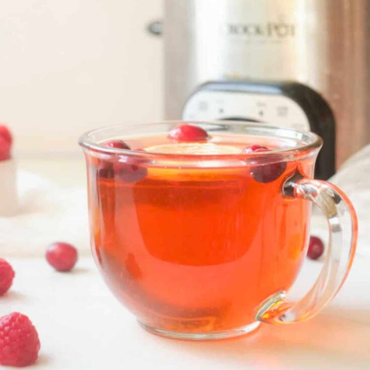 A cup of holiday crock pot tea