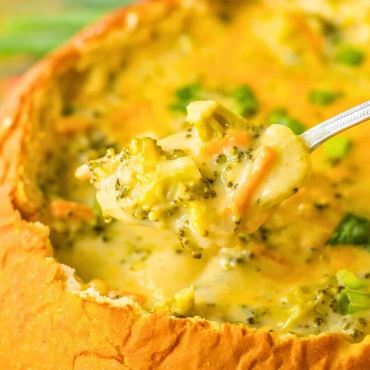 Panera broccoli cheddar winter soup