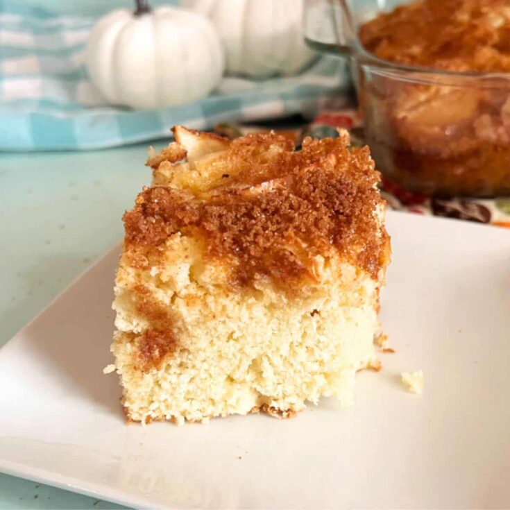A slice of vintage apple coffee cake