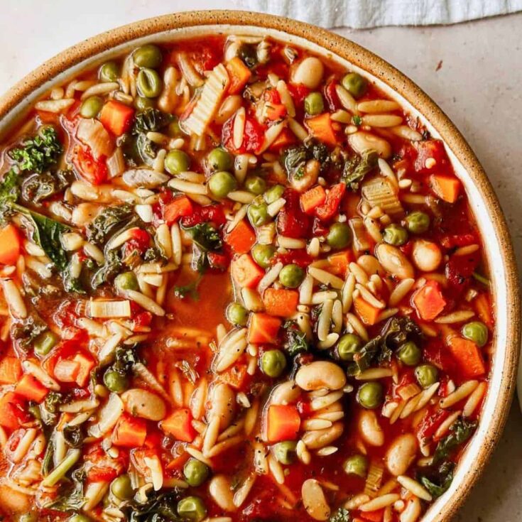 Vegetable orzo soup