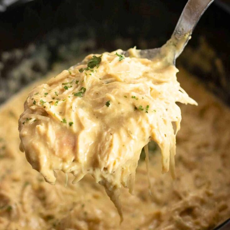 Crock pot ranch chicken