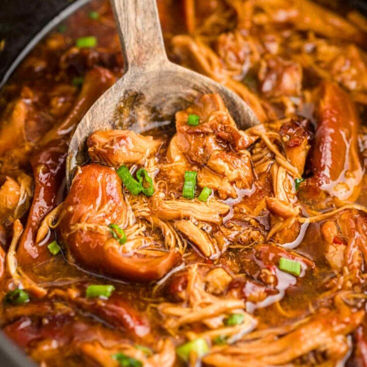 Crockpot bourbon chicken
