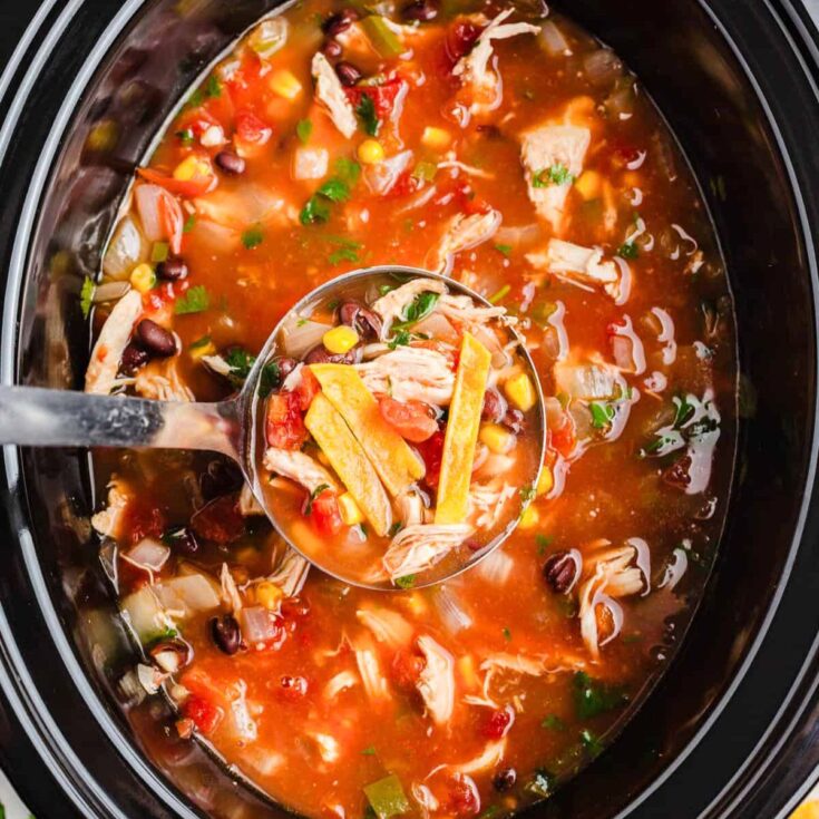 Crockpot chicken tortilla soup