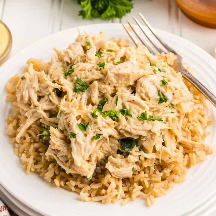 A plate of Crockpot honey mustard chicken with rice