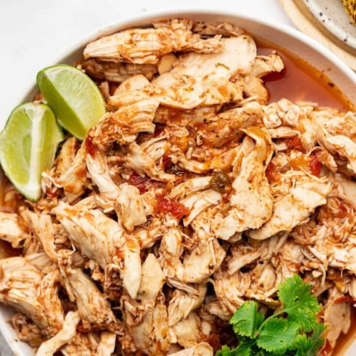 Easy crockpot salsa chicken