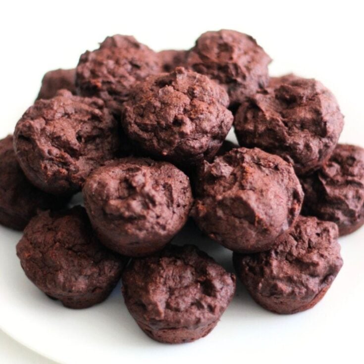 Mini chewy gluten-free fudge vegan brownies