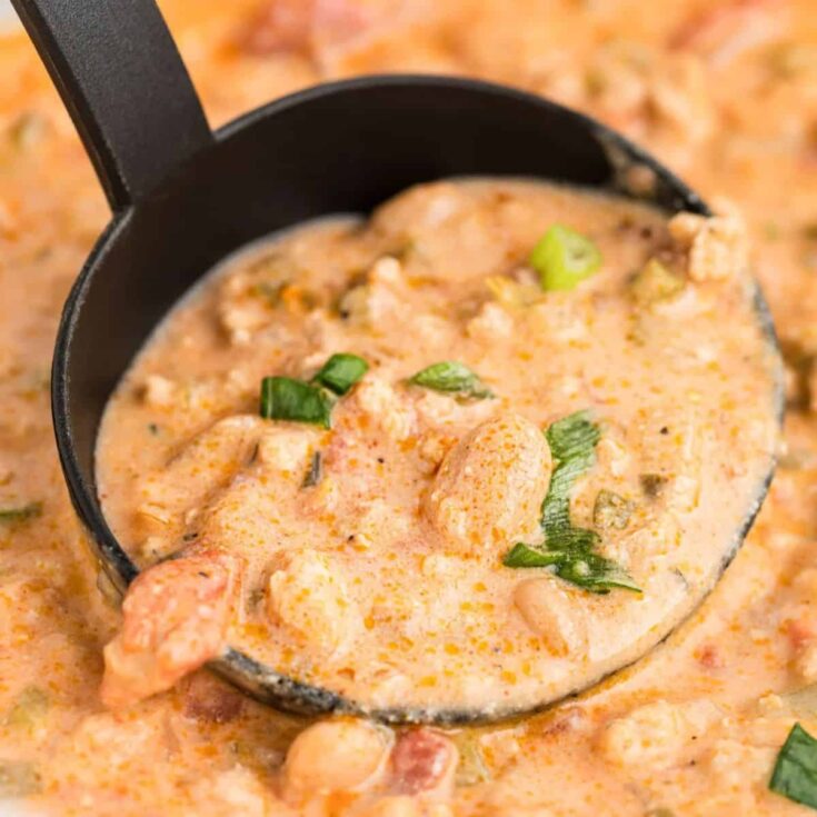 A scoop of slow cooker buffalo chicken chili