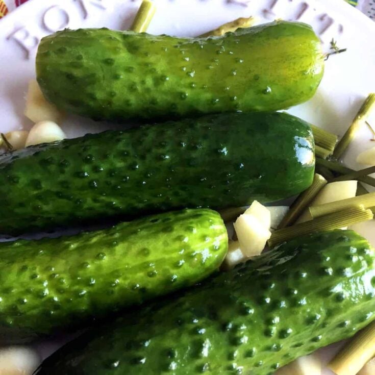 Homemade refrigerator garlic dill pickles