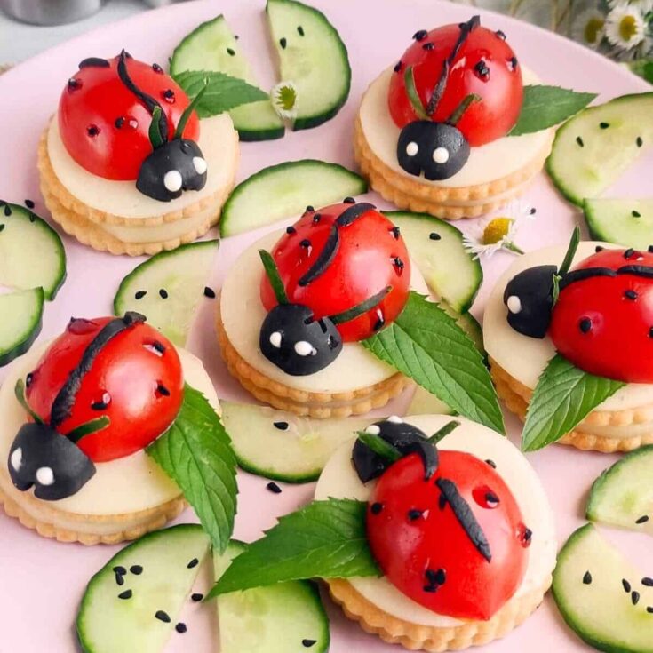 Caprese ladybugs made after reading these ideas for cold appetizers