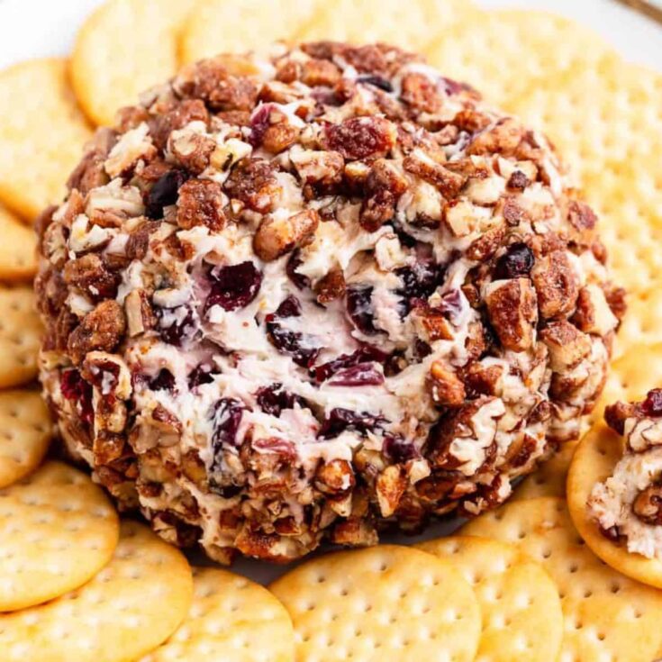 Cranberry orange cheese ball recipes