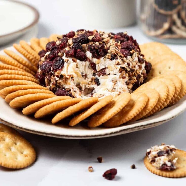 Cranberry pecan cheese ball