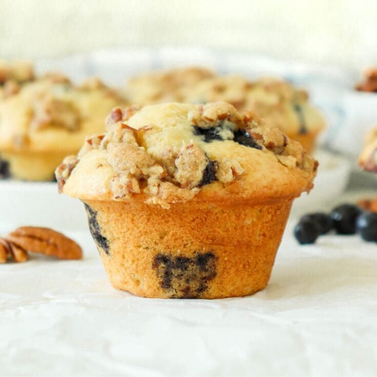 Blueberry pecan muffins made after reading these blueberry muffin recipes