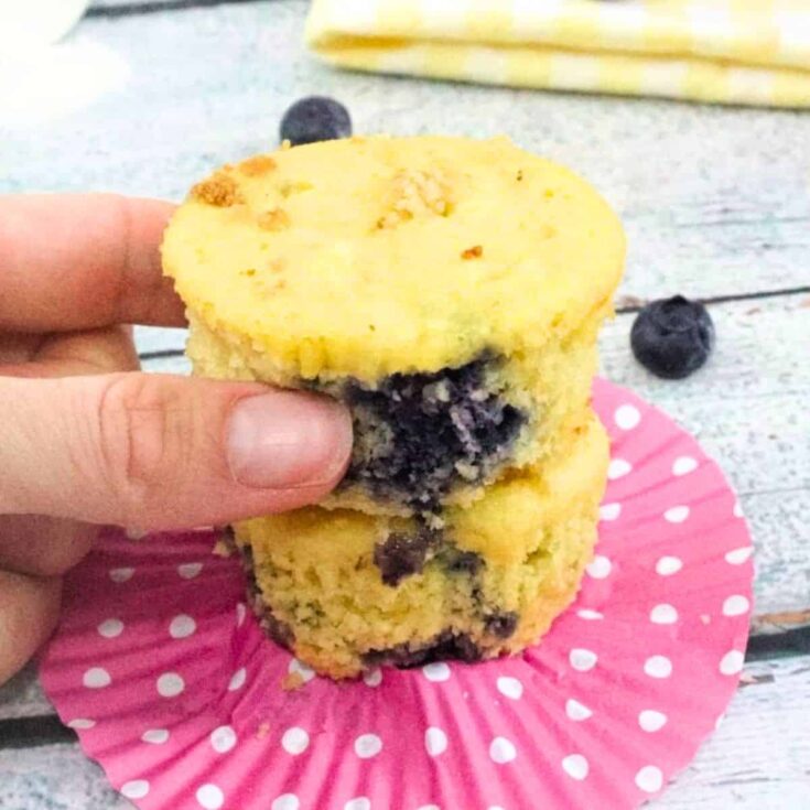Cakey blueberry protein muffins