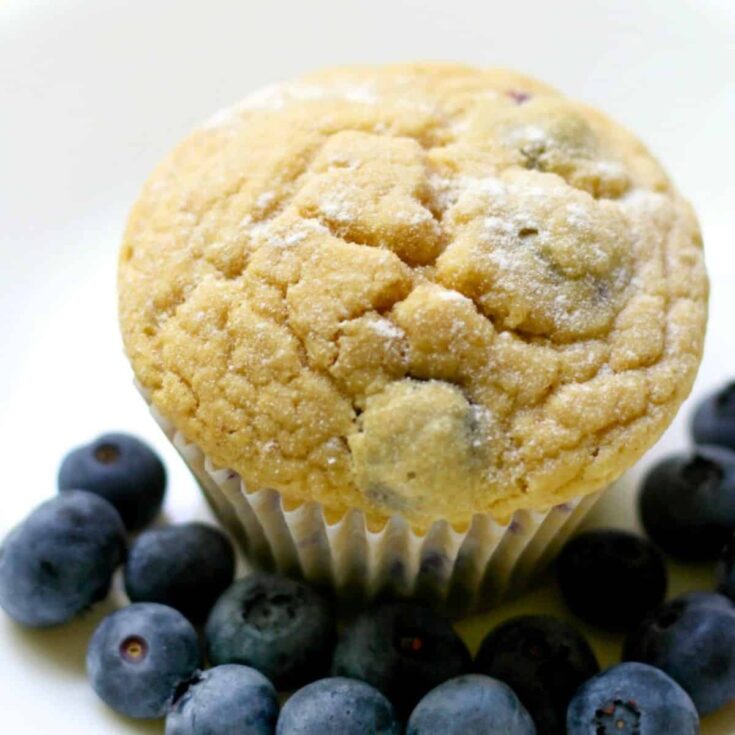 Gluten-free blueberry muffin