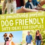 A collage of a dog on a beach, a couple having picnic with their dog, and a couple walking their dog, with the text overlay 15 pawsitively perfect dog friendly date ideas for couples