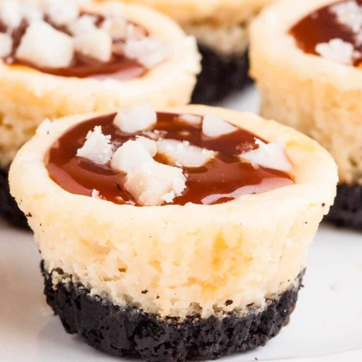 Salted caramel cheesecake bite dessert, made after reading these Fall dinner party